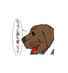センチメンタル猫とわんちゃんWith動物（個別スタンプ：12）