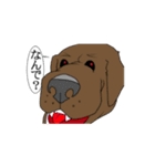 センチメンタル猫とわんちゃんWith動物（個別スタンプ：15）
