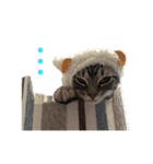 ココナッツ_5972（個別スタンプ：7）