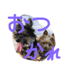 みみとるる（個別スタンプ：2）