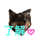 みみとるる（個別スタンプ：4）