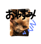 みみとるる（個別スタンプ：5）