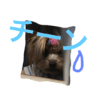 みみとるる（個別スタンプ：8）