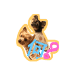 みみとるる（個別スタンプ：12）