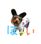 みみとるる（個別スタンプ：14）