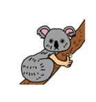 コアラ人間（個別スタンプ：1）