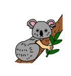 コアラ人間（個別スタンプ：4）