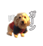 こんにちは、むぎ（個別スタンプ：6）