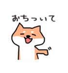 うちの柴犬さん（個別スタンプ：13）