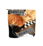 しばのスタンプ（個別スタンプ：5）