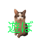 ジルくんのまいにち（個別スタンプ：6）