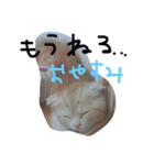 気まぐれ？？（個別スタンプ：2）