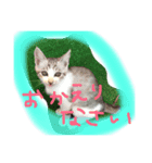 気まぐれ？？（個別スタンプ：4）