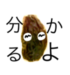 good raisin（個別スタンプ：6）