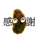 good raisin（個別スタンプ：14）