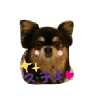 Halu＆Mau2（個別スタンプ：4）