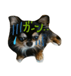 Halu＆Mau2（個別スタンプ：9）