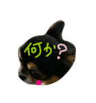 Halu＆Mau2（個別スタンプ：13）