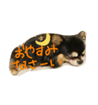 Halu＆Mau2（個別スタンプ：14）
