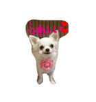 Halu＆Mau2（個別スタンプ：15）