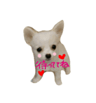 Halu＆Mau2（個別スタンプ：22）