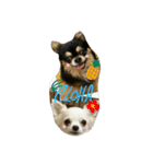 Halu＆Mau2（個別スタンプ：30）
