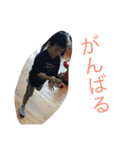 なかよし兄妹弟（個別スタンプ：6）