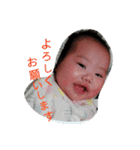 naosanstamps（個別スタンプ：15）