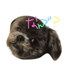 wantonyan（個別スタンプ：6）
