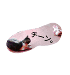 NEKOnoKURO（個別スタンプ：4）