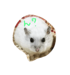 はむすの日常（個別スタンプ：4）