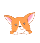 可愛い動物 犬のウェルシュ・コーギー（個別スタンプ：3）