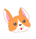 可愛い動物 犬のウェルシュ・コーギー（個別スタンプ：7）