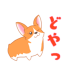 可愛い動物 犬のウェルシュ・コーギー（個別スタンプ：22）