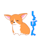 可愛い動物 犬のウェルシュ・コーギー（個別スタンプ：23）