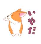 可愛い動物 犬のウェルシュ・コーギー（個別スタンプ：25）