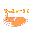 可愛い動物 犬のウェルシュ・コーギー（個別スタンプ：28）