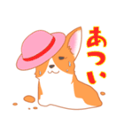 可愛い動物 犬のウェルシュ・コーギー（個別スタンプ：29）