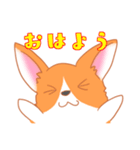 可愛い動物 犬のウェルシュ・コーギー（個別スタンプ：31）