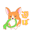 可愛い動物 犬のウェルシュ・コーギー（個別スタンプ：33）