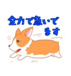 可愛い動物 犬のウェルシュ・コーギー（個別スタンプ：39）