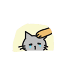 つかえる⭐️猫スタンプ（個別スタンプ：23）