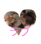 LOVEsae（個別スタンプ：21）