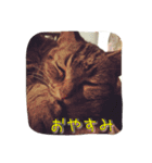 徹之介（個別スタンプ：1）
