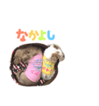 こはあさスタンプ（個別スタンプ：15）
