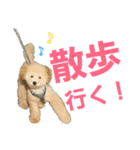 momotarou-1（個別スタンプ：6）