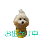 momotarou-1（個別スタンプ：17）