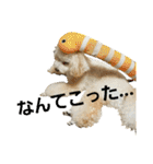 momotarou-1（個別スタンプ：21）
