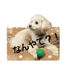 momotarou-1（個別スタンプ：30）