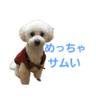 momotarou-1（個別スタンプ：33）